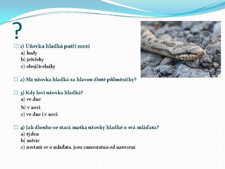 ? � 1) Užovka hladká patří mezi a) hady b) ještěrky c) obojživelníky �