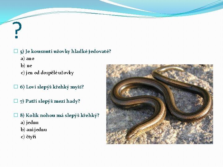 ? � 5) Je kousnutí užovky hladké jedovaté? a) ano b) ne c) jen