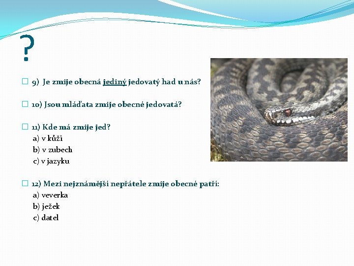 ? � 9) Je zmije obecná jediný jedovatý had u nás? � 10) Jsou