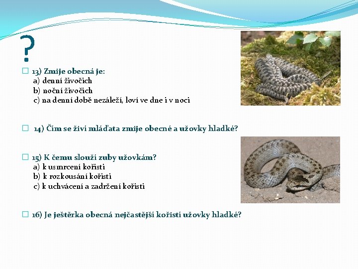 ? � 13) Zmije obecná je: a) denní živočich b) noční živočich c) na