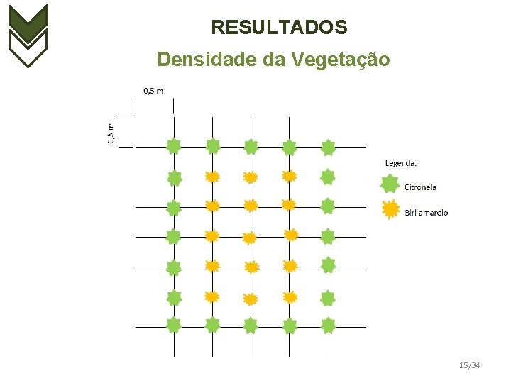 RESULTADOS Densidade da Vegetação 15/34 