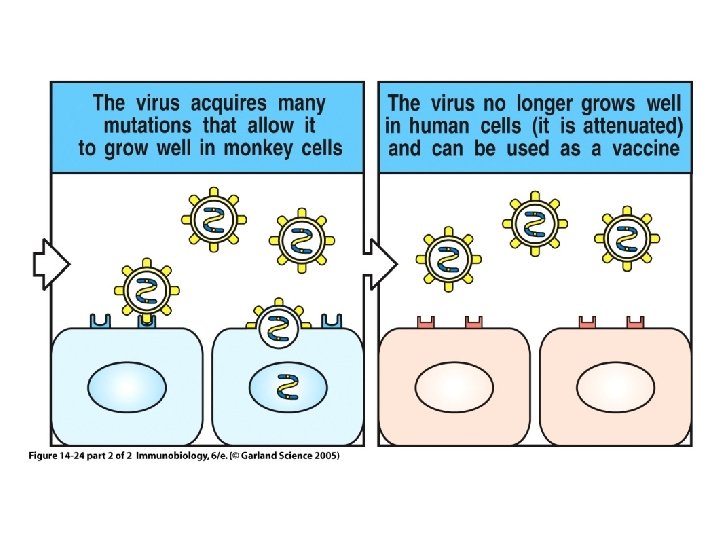 Figure 14 -24 part 2 of 2 Figure 14 -24 part 2 of 2