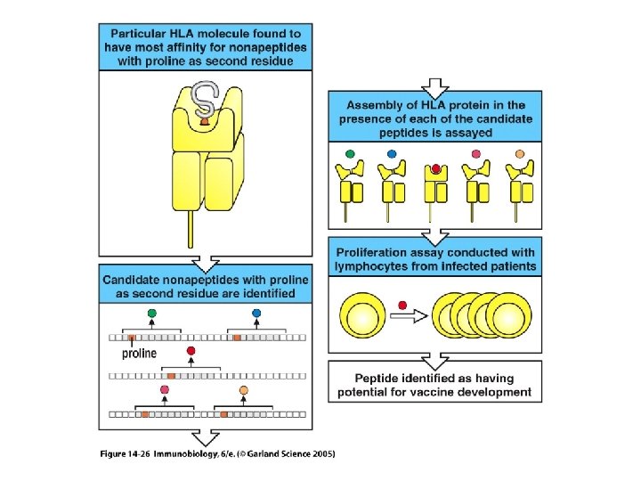 Figure 14 -26 Figure 14 -26