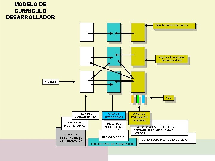 MODELO DE CURRICULO DESARROLLADOR Taller de plan de vida y carrera programa de actividades