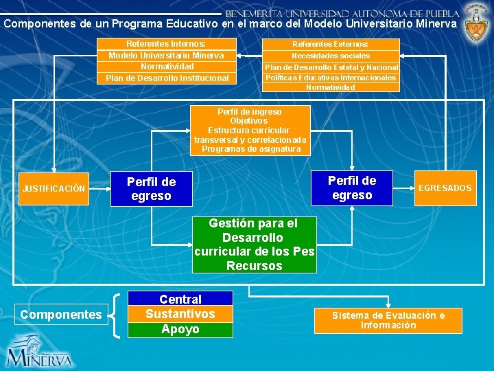 Componentes de un Programa Educativo en el marco del Modelo Universitario Minerva Referentes Internos: