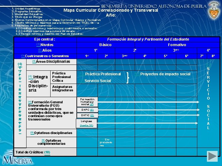 1. Unidad Académica: Mapa Curricular Correlacionado 2. Programa Educativo: 3. Modalidad Educativa: Año: 3.