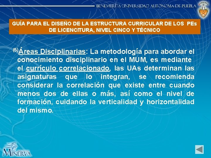 GUÍA PARA EL DISEÑO DE LA ESTRUCTURA CURRICULAR DE LOS PEs DE LICENCITURA, NIVEL