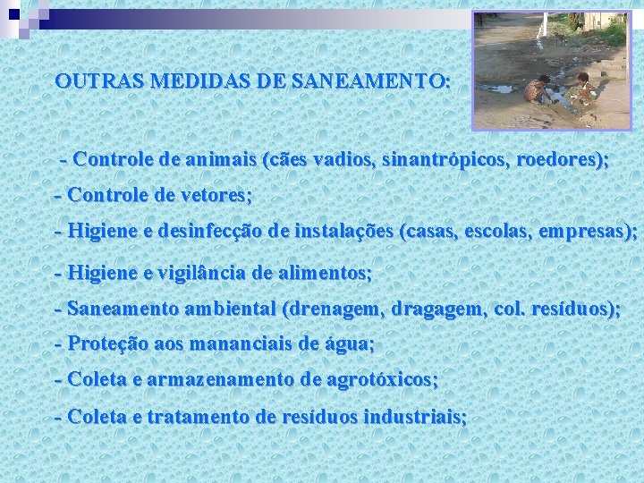 OUTRAS MEDIDAS DE SANEAMENTO: - Controle de animais (cães vadios, sinantrópicos, roedores); - Controle