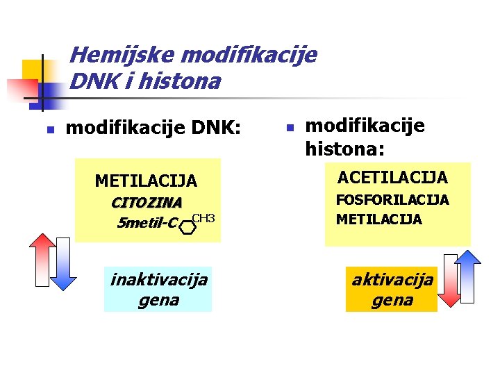 Hemijske modifikacije DNK i histona n modifikacije DNK: n modifikacije histona: METILACIJA ACETILACIJA CITOZINA