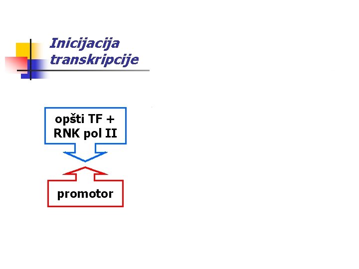 Inicija transkripcije opšti TF + RNK pol II preinicijacioni kompleks - PIK promotor početak