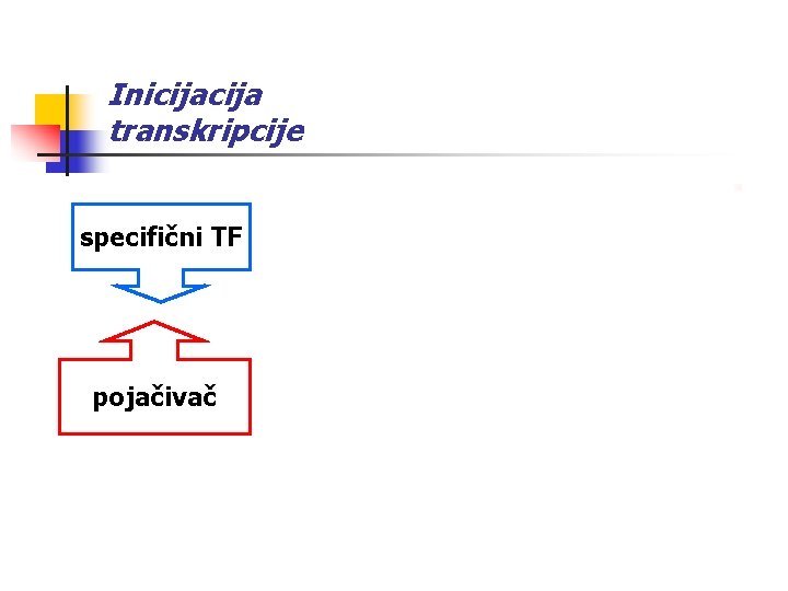Inicija transkripcije şpecifični TF specifični TF pojačivač specifični TF + PIK početak transkripcije 