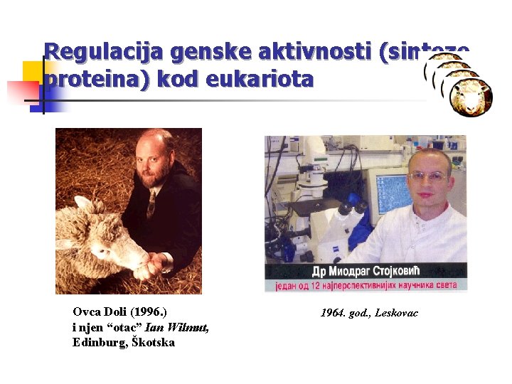 Regulacija genske aktivnosti (sinteze proteina) kod eukariota Ovca Doli (1996. ) i njen “otac”