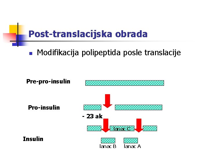 Post-translacijska obrada n Modifikacija polipeptida posle translacije Pre-pro-insulin Pro-insulin - 23 ak lanac C