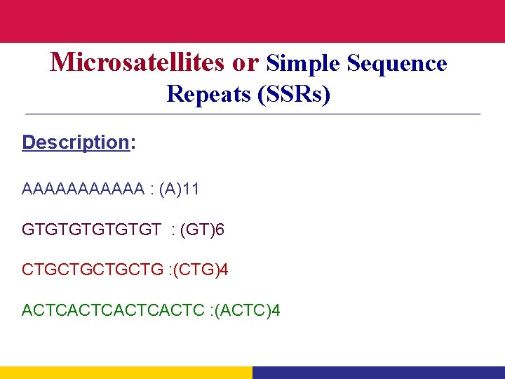 Microsatellites or Simple Sequence Repeats (SSRs) Description: AAAAAA : (A)11 GTGTGT : (GT)6 CTGCTG