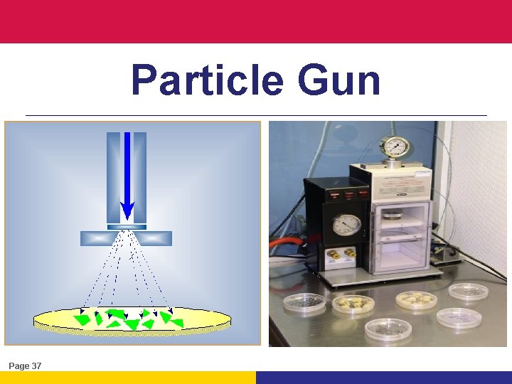 Particle Gun Page 37 