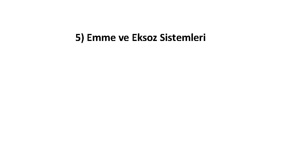 5) Emme ve Eksoz Sistemleri 