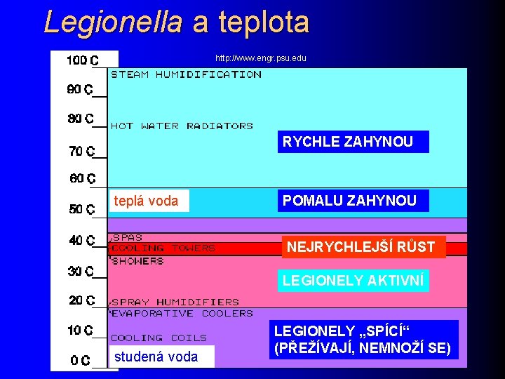 Legionella a teplota http: //www. engr. psu. edu RYCHLE ZAHYNOU teplá voda POMALU ZAHYNOU