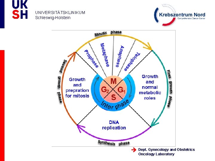 UNIVERSITÄTSKLINIKUM Schleswig-Holstein Dept. Gynecology and Obstetrics Oncology Laboratory 