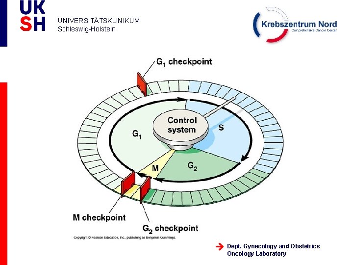 UNIVERSITÄTSKLINIKUM Schleswig-Holstein Dept. Gynecology and Obstetrics Oncology Laboratory 