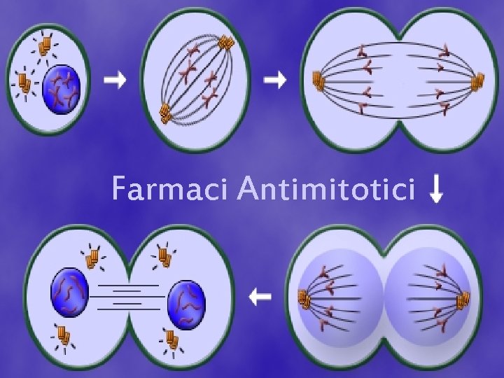 Farmaci Antimitotici 