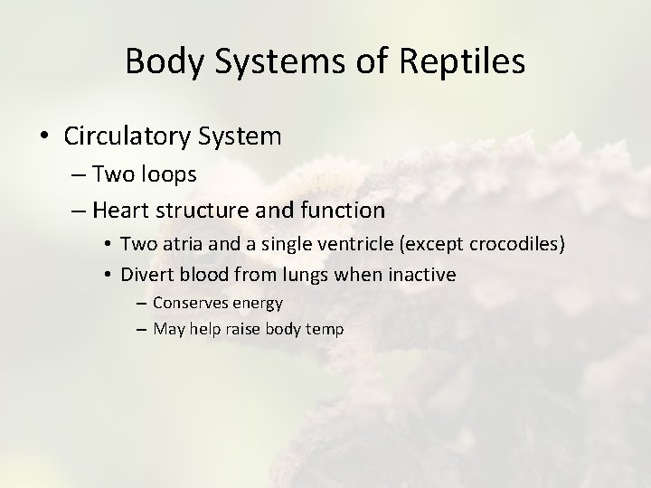 Body Systems of Reptiles • Circulatory System – Two loops – Heart structure and