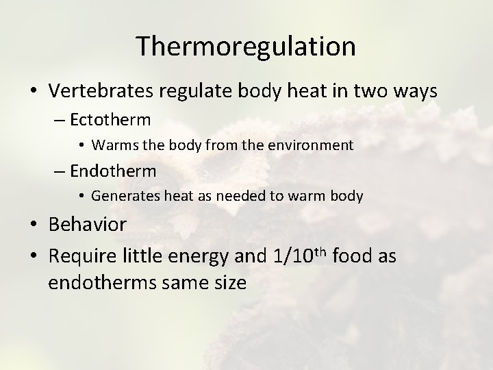 Thermoregulation • Vertebrates regulate body heat in two ways – Ectotherm • Warms the