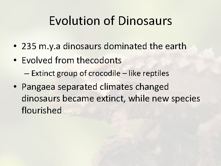 Evolution of Dinosaurs • 235 m. y. a dinosaurs dominated the earth • Evolved