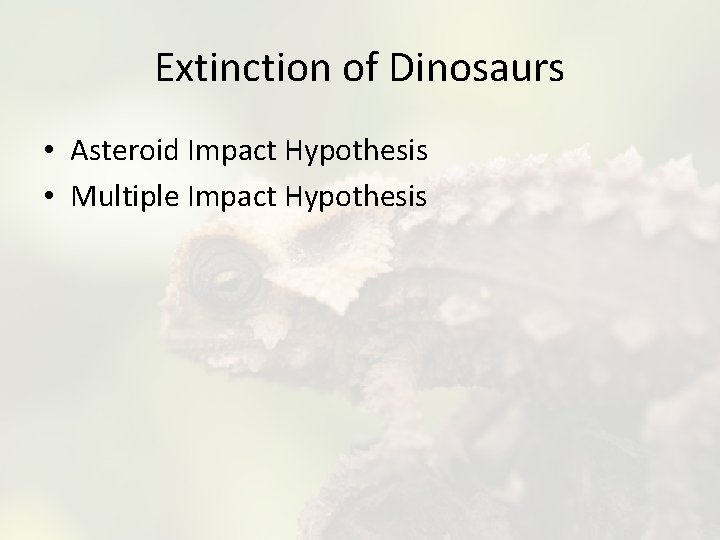 Extinction of Dinosaurs • Asteroid Impact Hypothesis • Multiple Impact Hypothesis 