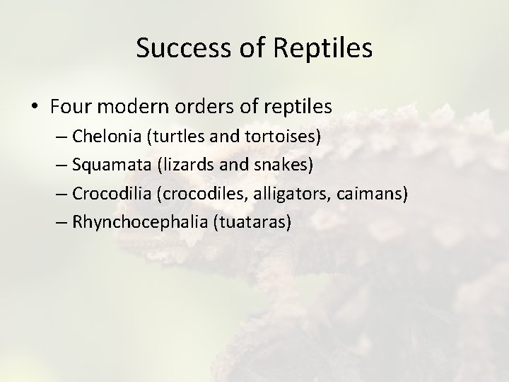 Success of Reptiles • Four modern orders of reptiles – Chelonia (turtles and tortoises)