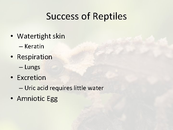 Success of Reptiles • Watertight skin – Keratin • Respiration – Lungs • Excretion