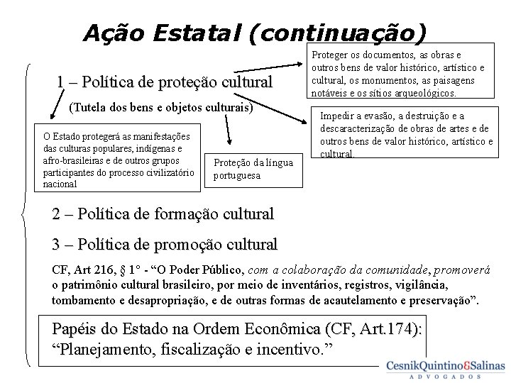 Ação Estatal (continuação) 1 – Política de proteção cultural (Tutela dos bens e objetos