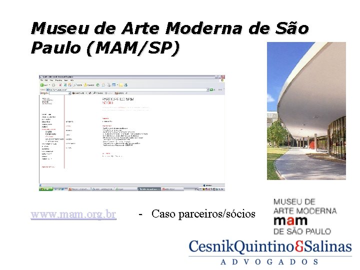 Museu de Arte Moderna de São Paulo (MAM/SP) www. mam. org. br - Caso