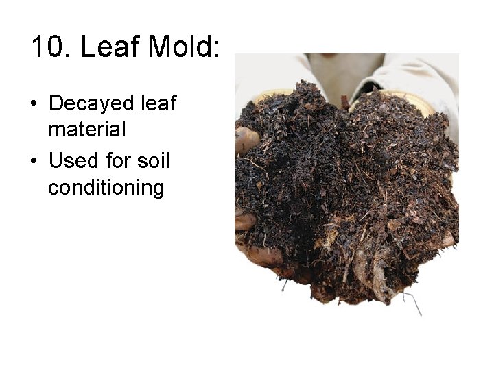10. Leaf Mold: • Decayed leaf material • Used for soil conditioning 