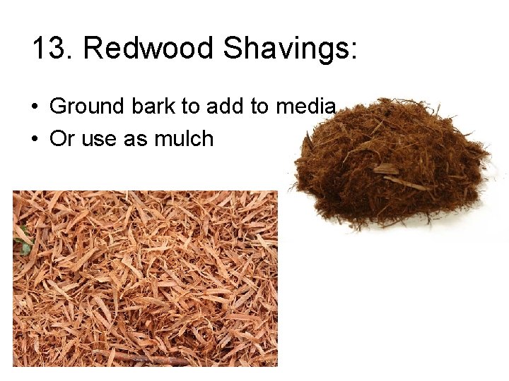 13. Redwood Shavings: • Ground bark to add to media • Or use as