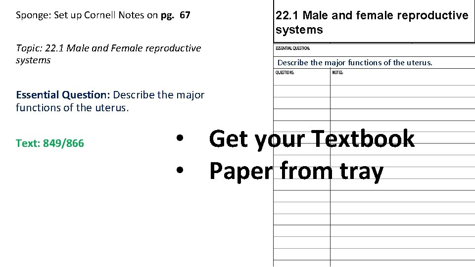 Sponge: Set up Cornell Notes on pg. 67 Topic: 22. 1 Male and Female