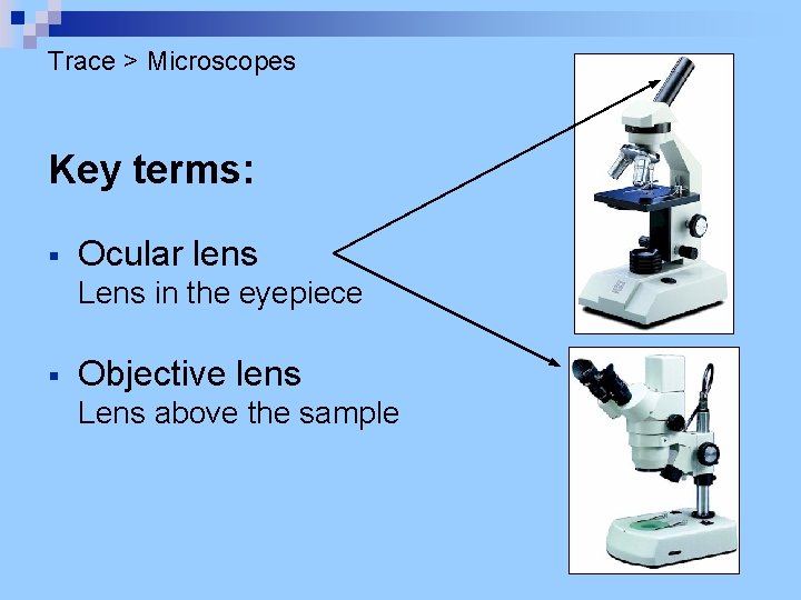 Trace > Microscopes Key terms: § Ocular lens Lens in the eyepiece § Objective
