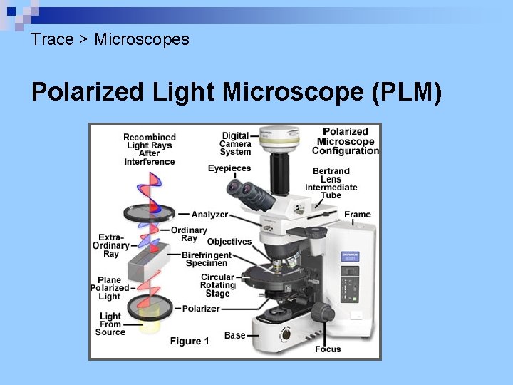 Trace > Microscopes Polarized Light Microscope (PLM) 