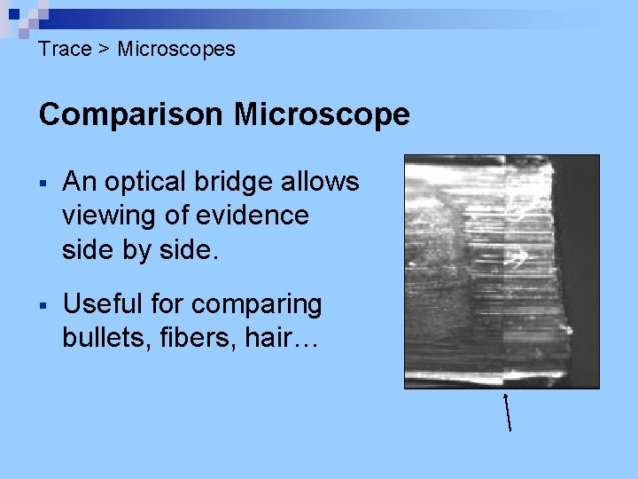 Trace > Microscopes Comparison Microscope § An optical bridge allows viewing of evidence side