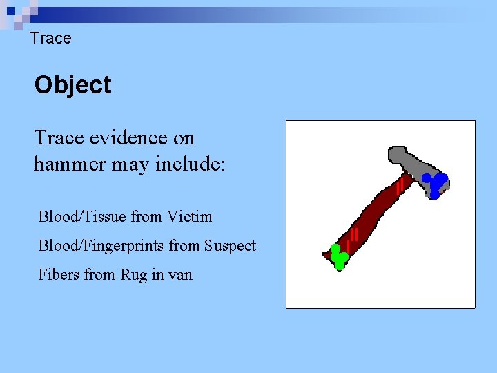 Trace Object Trace evidence on hammer may include: Blood/Tissue from Victim Blood/Fingerprints from Suspect