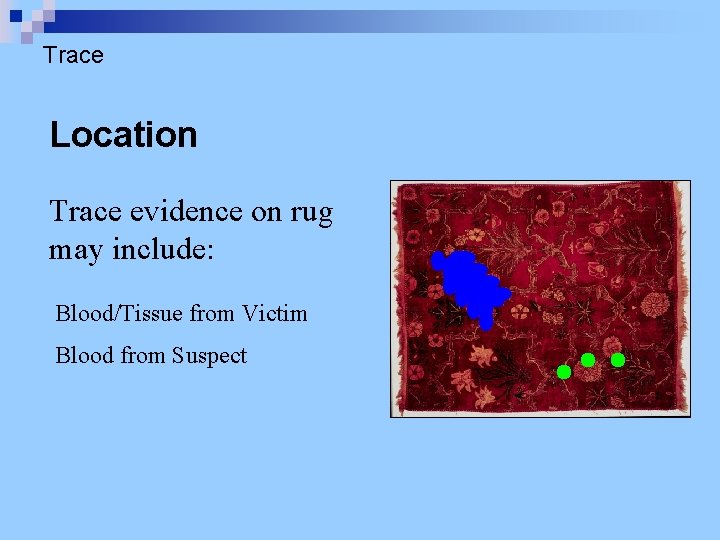Trace Location Trace evidence on rug may include: Blood/Tissue from Victim Blood from Suspect