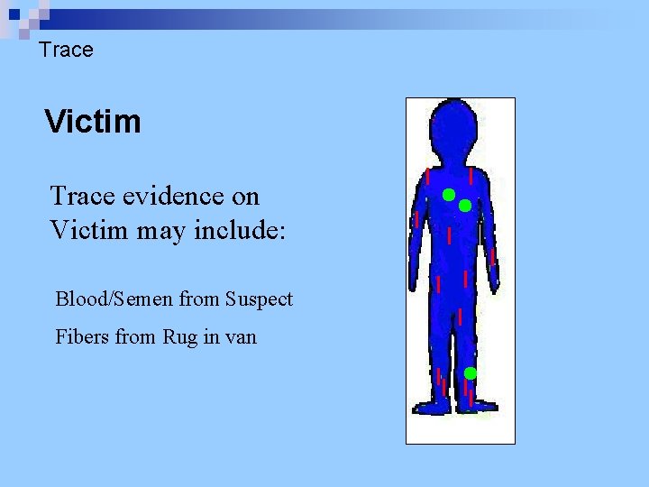 Trace Victim Trace evidence on Victim may include: Blood/Semen from Suspect Fibers from Rug