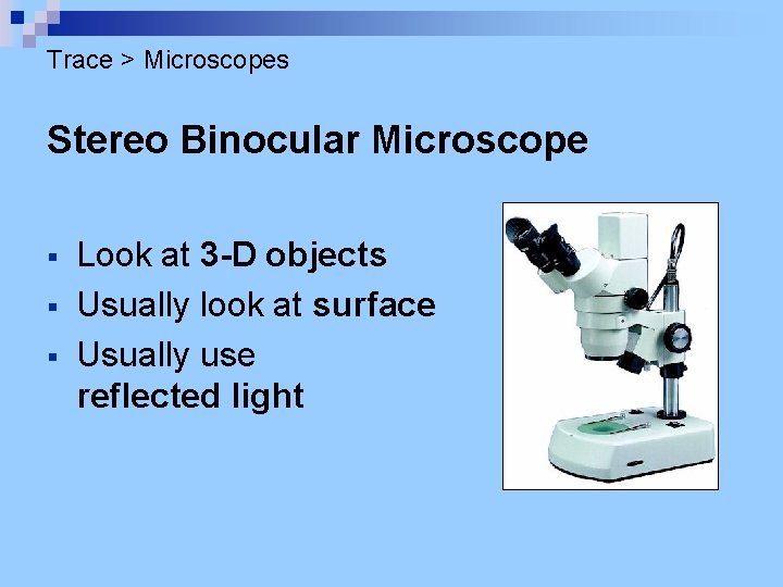 Trace > Microscopes Stereo Binocular Microscope § § § Look at 3 -D objects
