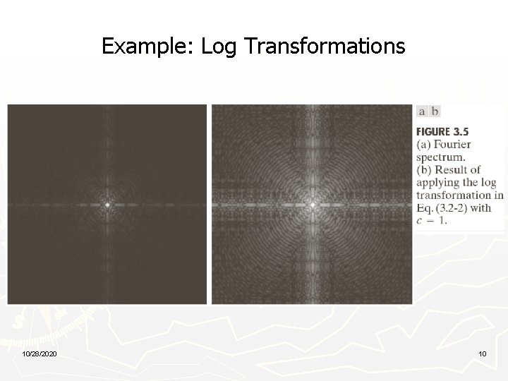 Example: Log Transformations 10/28/2020 10 