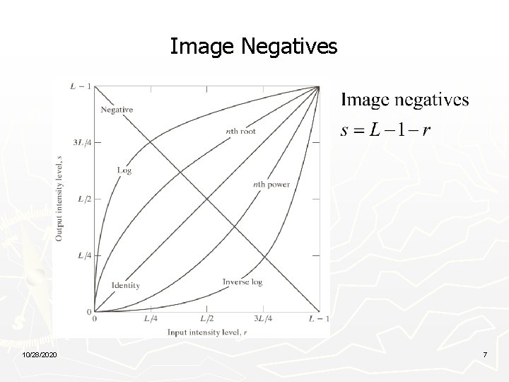 Image Negatives 10/28/2020 7 