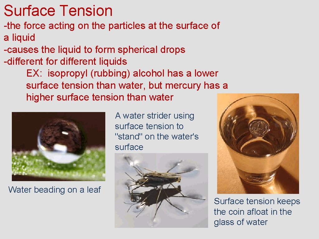 Surface Tension -the force acting on the particles at the surface of a liquid