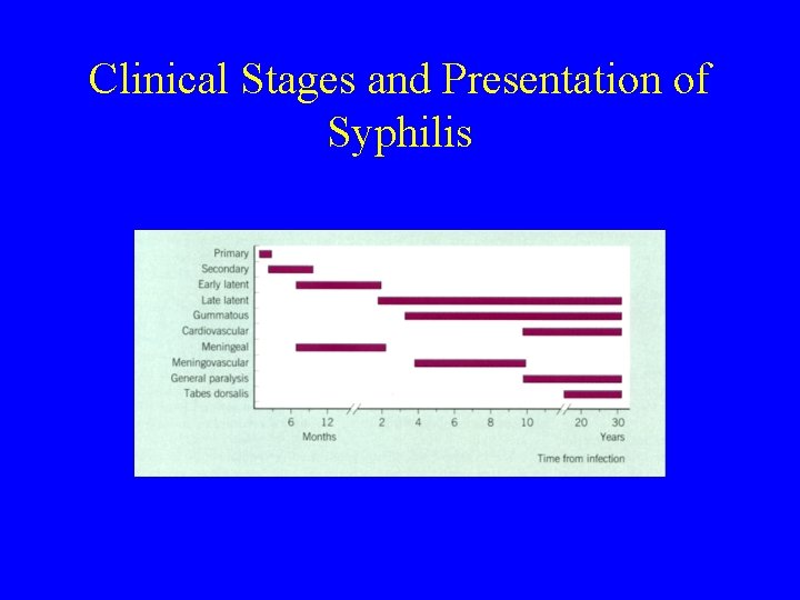 Clinical Stages and Presentation of Syphilis 