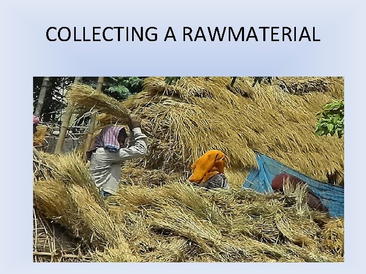 COLLECTING A RAWMATERIAL 