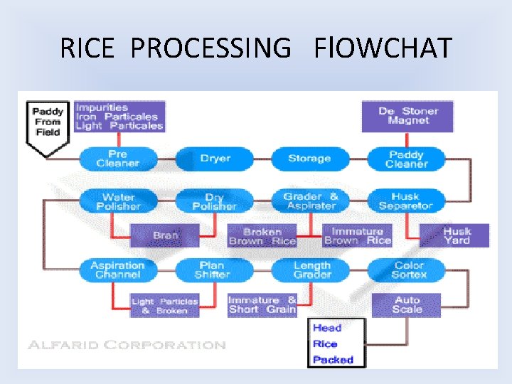 RICE PROCESSING Fl. OWCHAT 