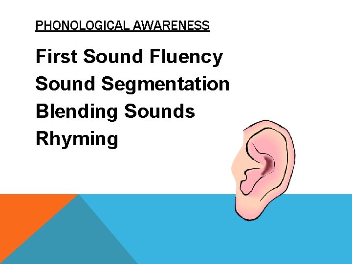 PHONOLOGICAL AWARENESS First Sound Fluency Sound Segmentation Blending Sounds Rhyming 