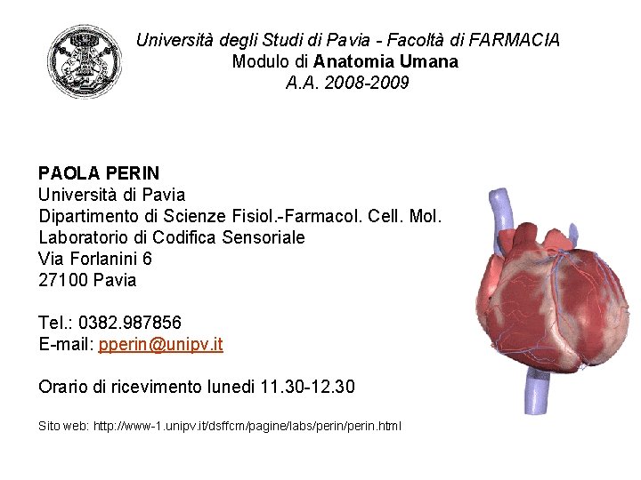 Università degli Studi di Pavia - Facoltà di FARMACIA Modulo di Anatomia Umana A.